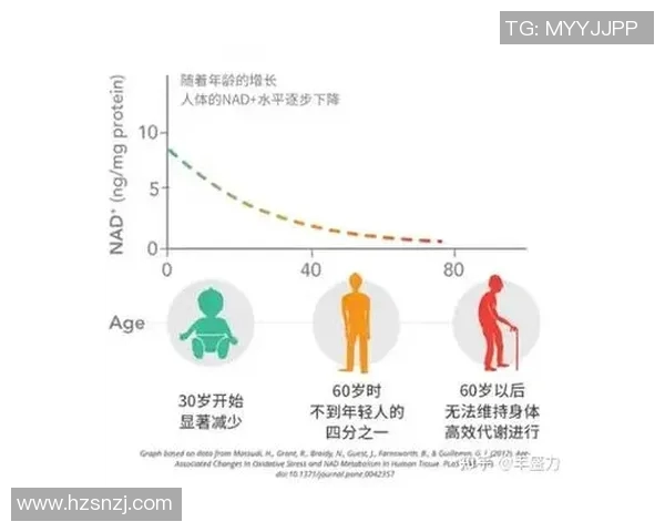 增强体质从锻炼开始身体虚弱者如何通过体育锻炼提升健康水平