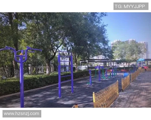 小区健身器材厂助力居民健康生活提升社区健身氛围与生活质量