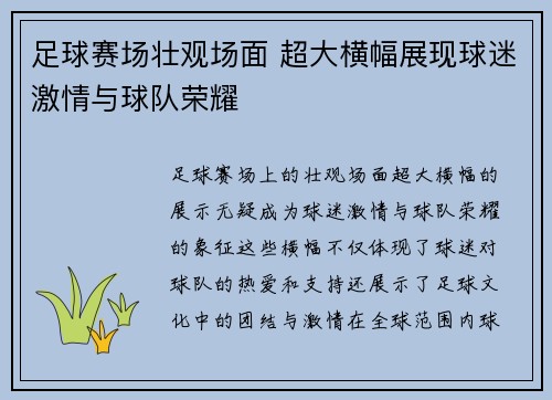 足球赛场壮观场面 超大横幅展现球迷激情与球队荣耀