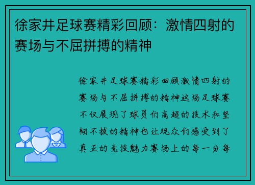徐家井足球赛精彩回顾：激情四射的赛场与不屈拼搏的精神