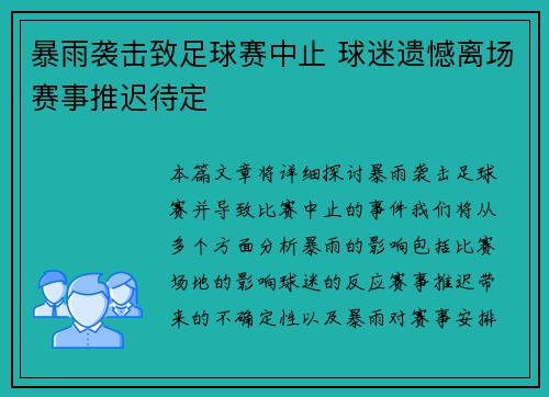 暴雨袭击致足球赛中止 球迷遗憾离场赛事推迟待定