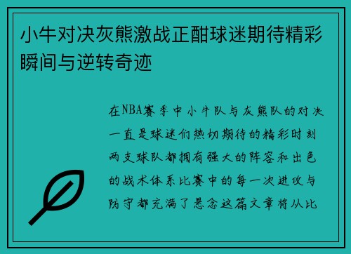 小牛对决灰熊激战正酣球迷期待精彩瞬间与逆转奇迹