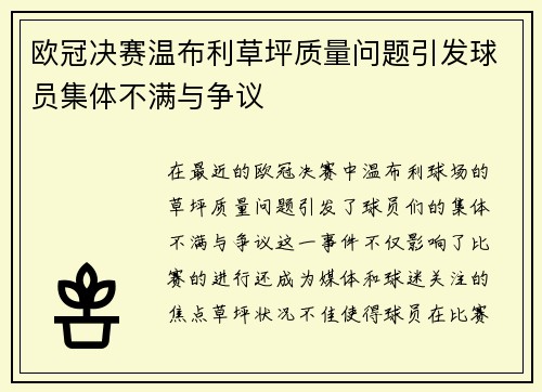 欧冠决赛温布利草坪质量问题引发球员集体不满与争议
